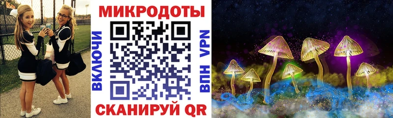 купить наркотик  Городище  Галлюциногенные грибы GOLDEN TEACHER 